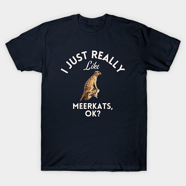 I Just Really Like Opossums Ok T-Shirt by GoodWills